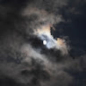 Meet your Posher, Phoebe